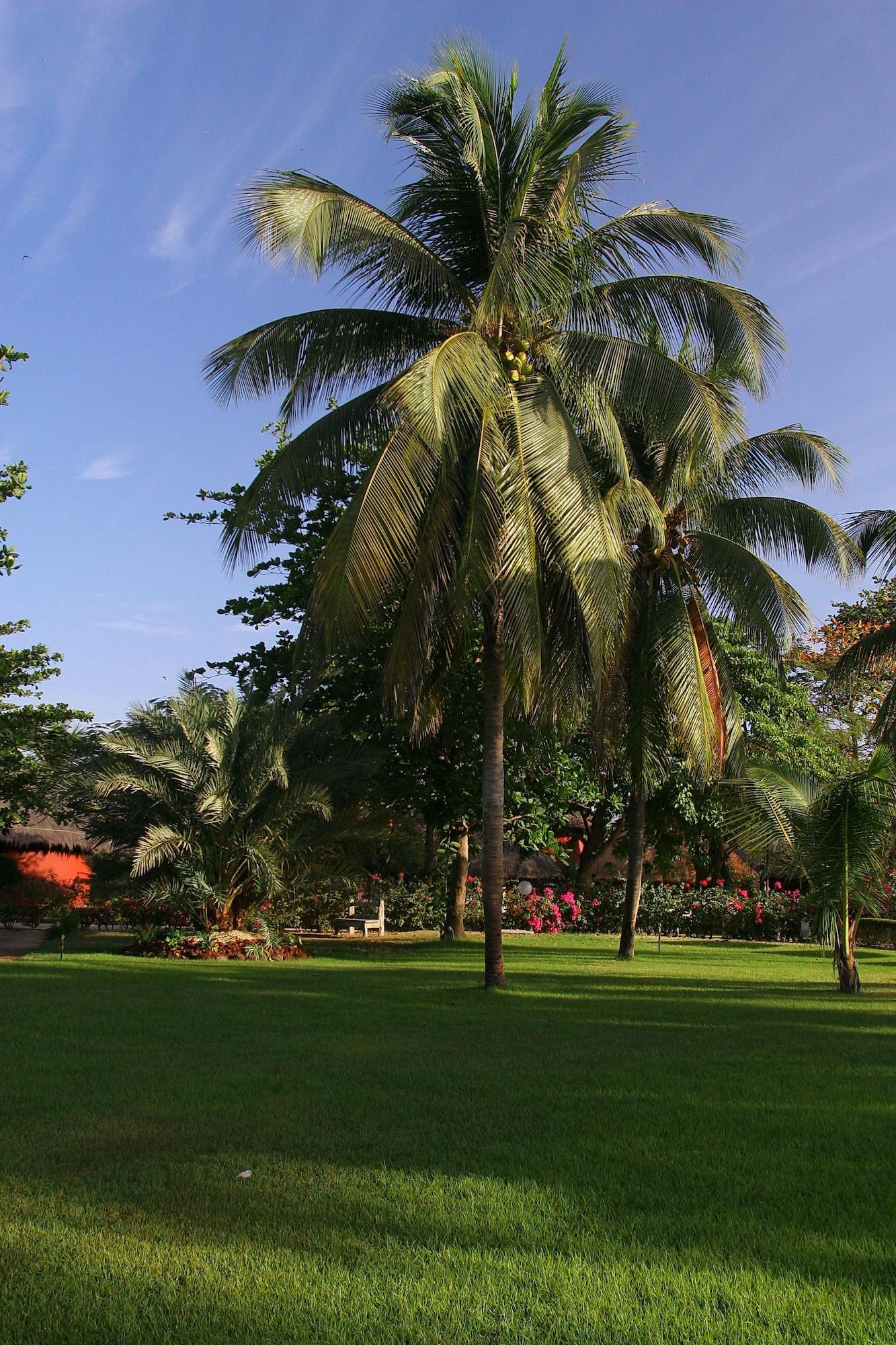 Hotel Royam Saly Portudal Exterior foto